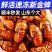 现货新鲜知了猴金蝉蝉蛹鲜活体非即食金蝉爬叉猴子爬蚱结了龟