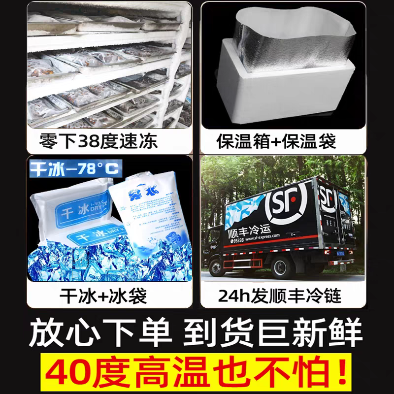 现货新鲜知了猴金蝉蝉蛹鲜活体非即食金蝉爬叉猴子爬蚱结了龟