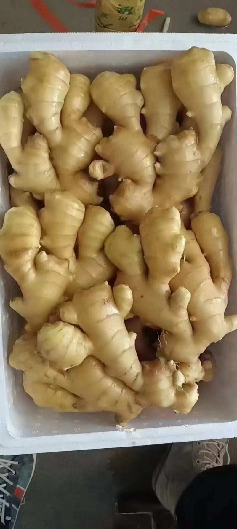 小黄姜3两以上带土