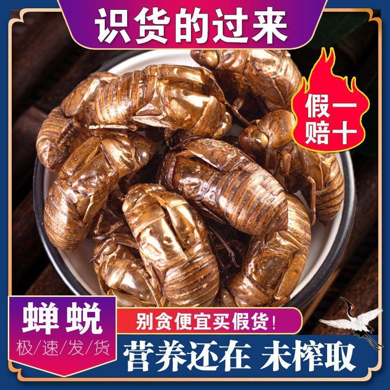 大量现货知了猴壳金蝉壳知了猴皮金蝉皮衣蝉壳知了皮爬了猴壳