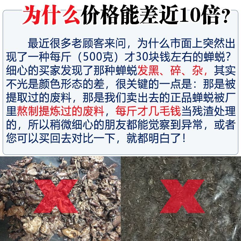 大量现货知了猴壳金蝉壳知了猴皮金蝉皮衣蝉壳知了皮爬了猴壳