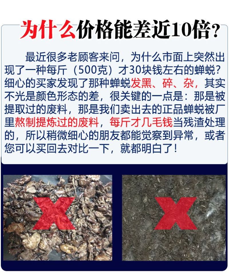 大量现货知了猴壳金蝉壳知了猴皮金蝉皮衣蝉壳知了皮爬了猴壳
