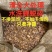 大量现货知了猴壳金蝉壳知了猴皮金蝉皮衣蝉壳知了皮爬了猴壳