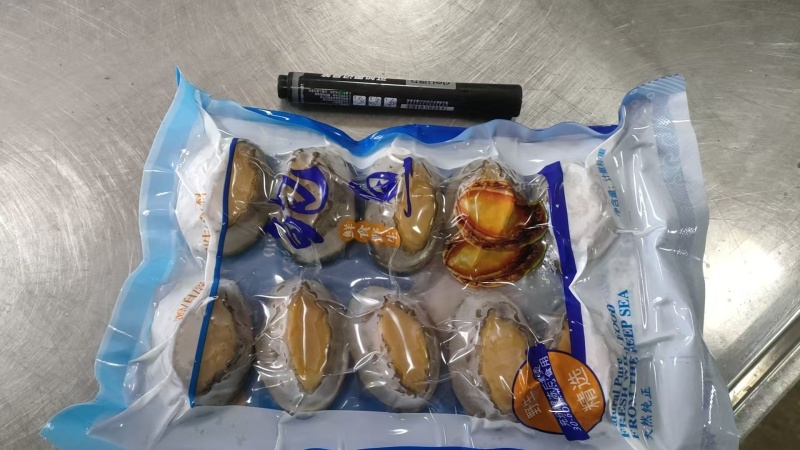 活冻鲍鱼8头大鲍鱼红烧切片佛跳墙材料供应酒店餐厅冻品批发