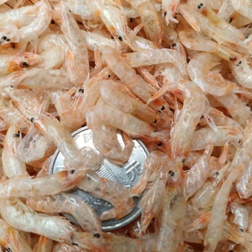 烘烤麦干虾，质量好，需要的老板联系我，湖南益阳资阳区超群