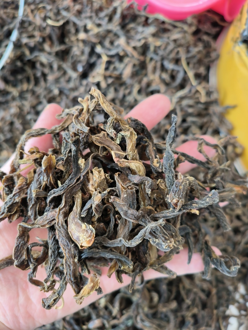 东北特产碎豆角干新鲜晾晒干货非精品铁锅炖专用包邮