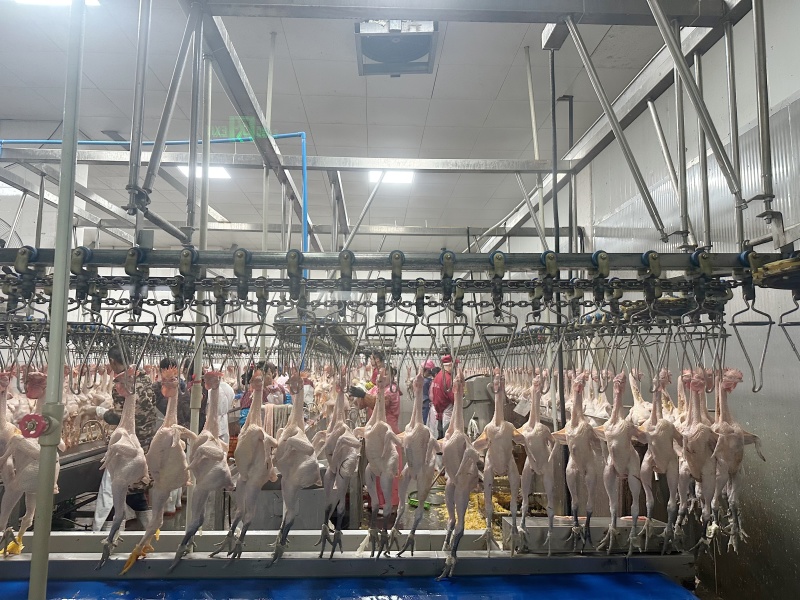 好货推荐精品鸡肉厂家直发一手货源长期供应全国发