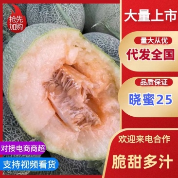 海南晓密25哈密瓜大量上市可视频看货量大从优欢迎咨询