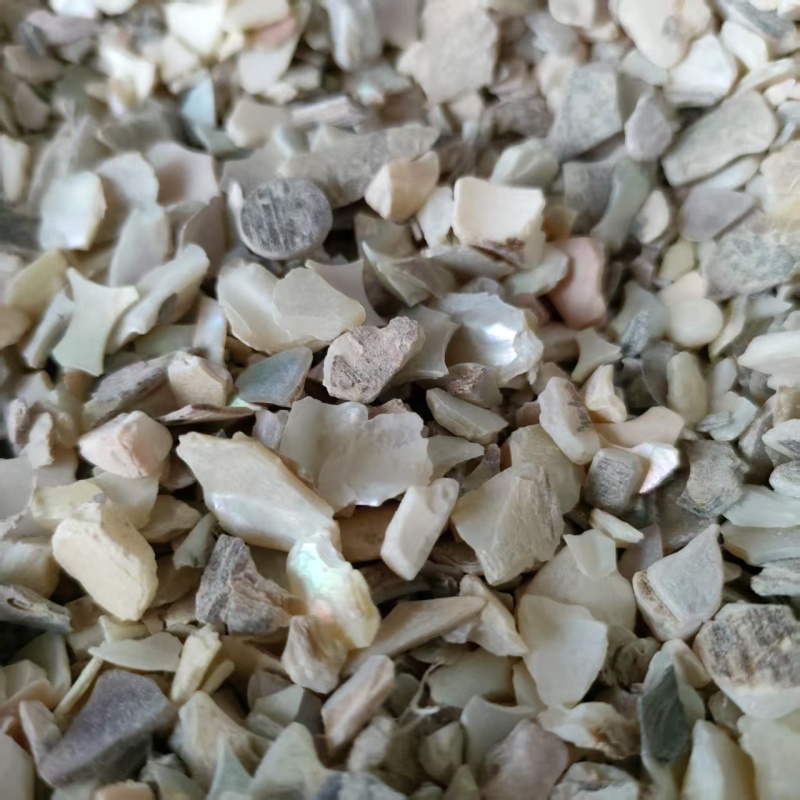 珍珠母中药矿石类药材祥泰药材栈中药材批发零售实物拍摄