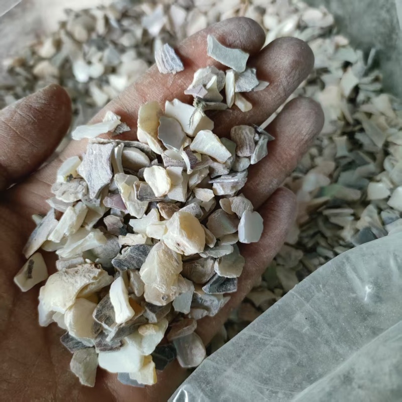 珍珠母中药矿石类药材祥泰药材栈中药材批发零售实物拍摄