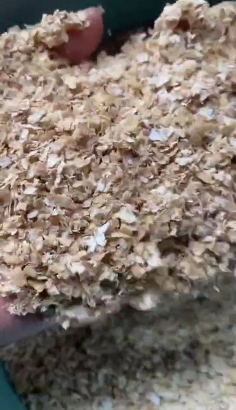 麸皮，大量现货，小麦仁麸皮，小卖麸皮，长期供应