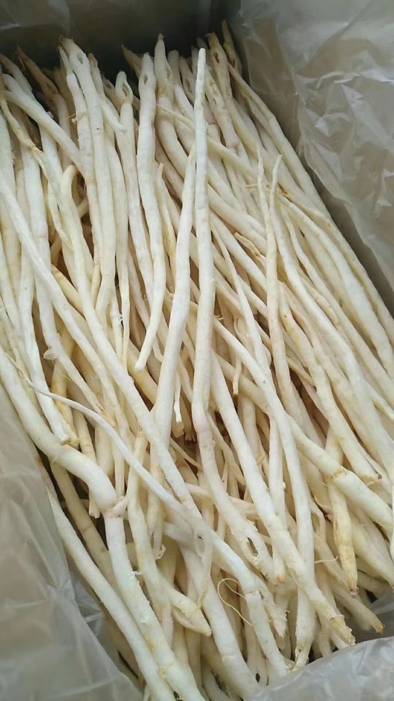 川明参，产于四川苍溪大山深处，一手货源，基地直发。