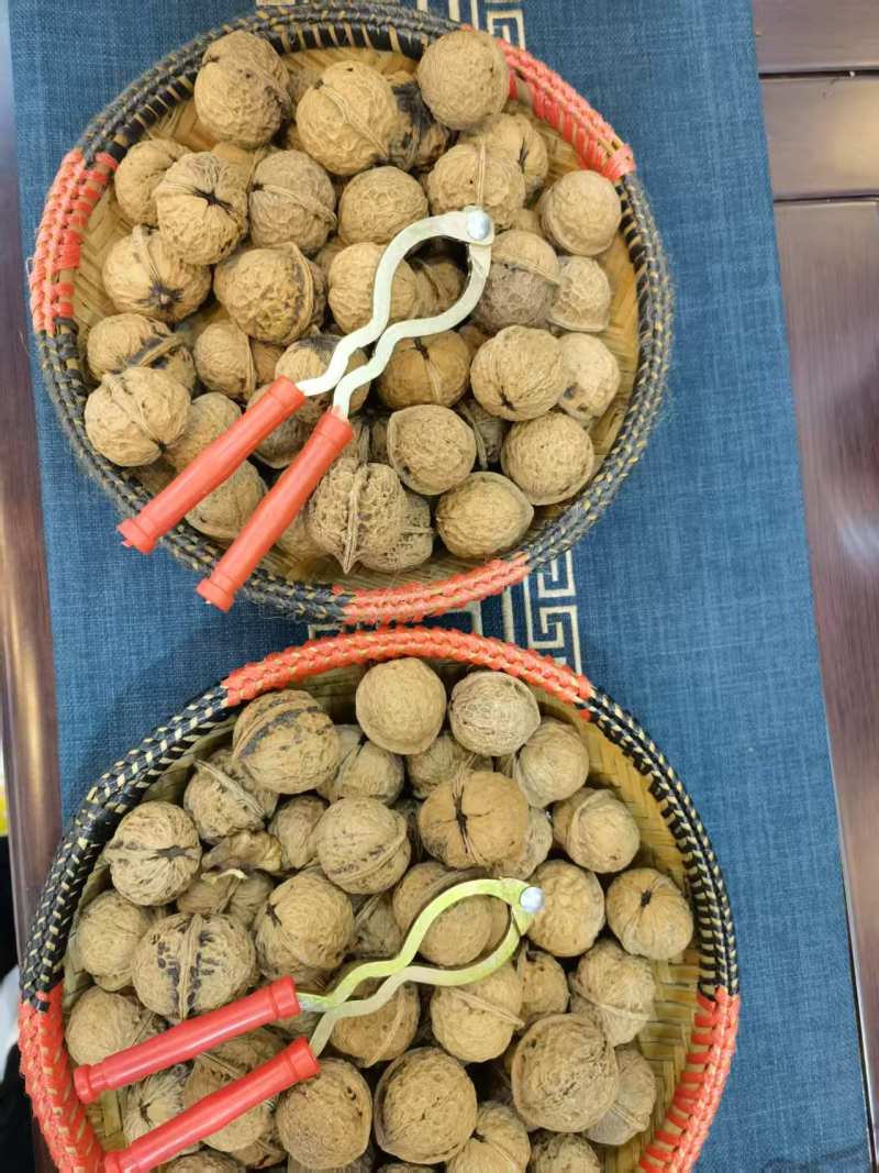 精品云南核桃大量接单产地直发量大从优欢迎来电