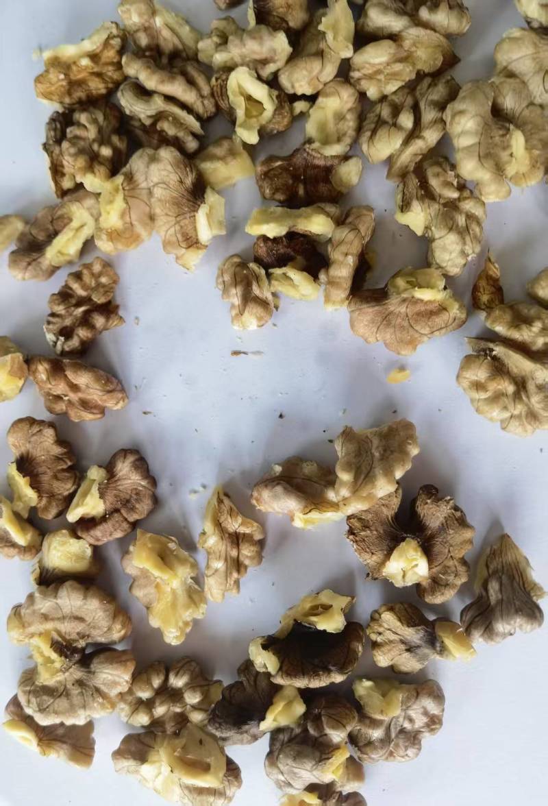精品云南核桃大量接单产地直发量大从优欢迎来电