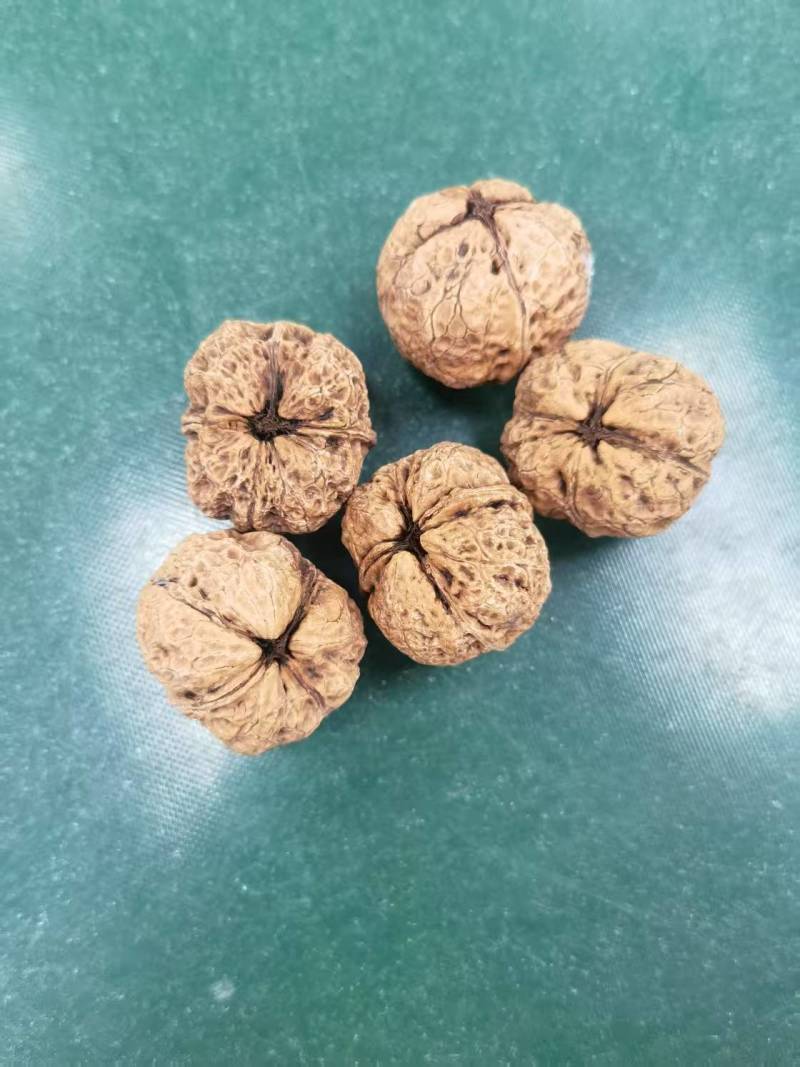 精品云南核桃大量接单产地直发量大从优欢迎来电
