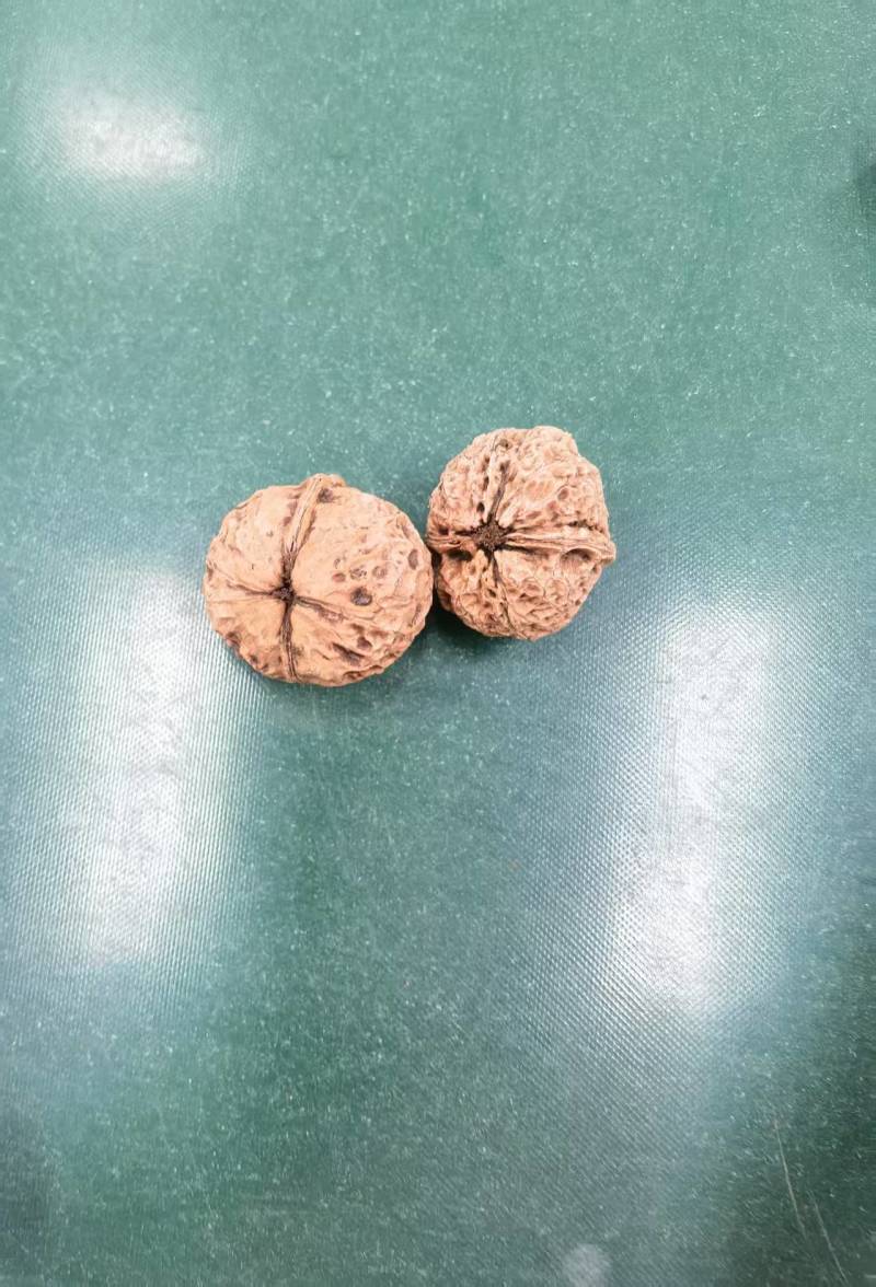 精品云南核桃大量接单产地直发量大从优欢迎来电