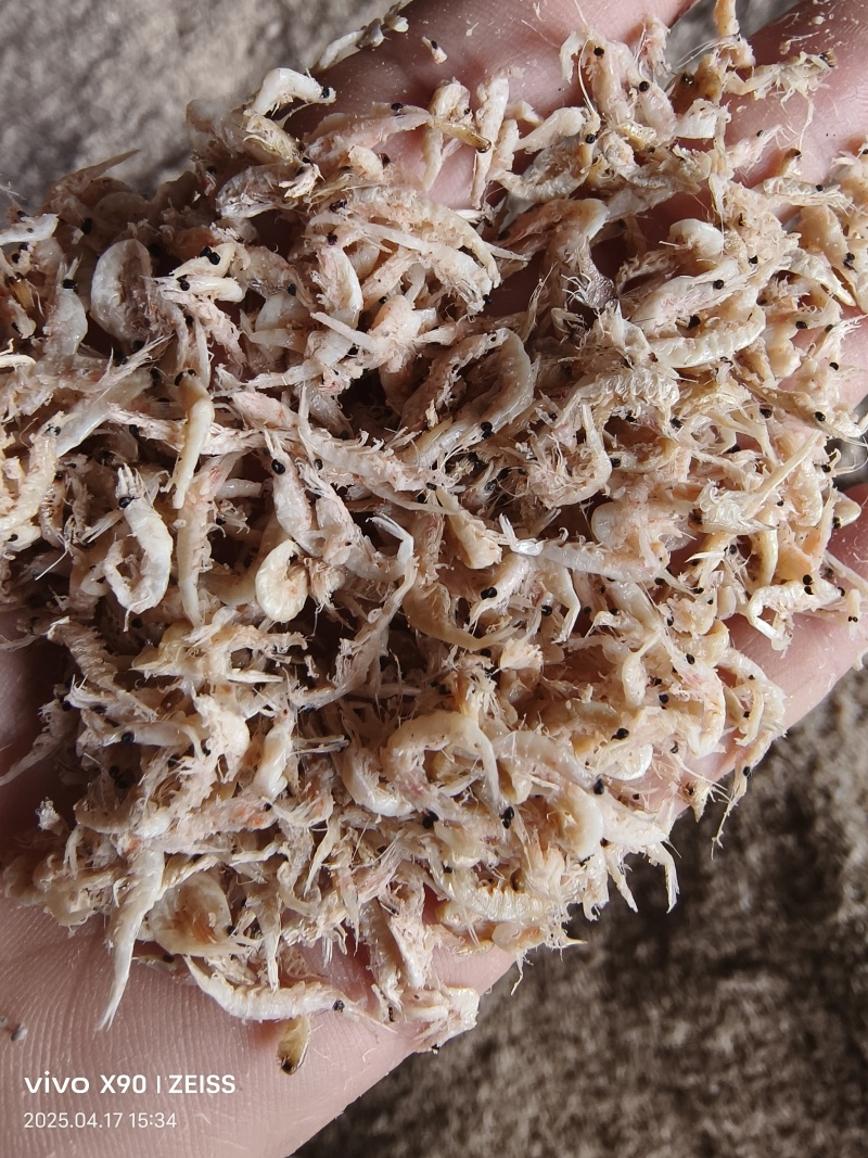 味道鲜美的引子虾皮，可以做汤，可以做调料，也可以做鱼饵
