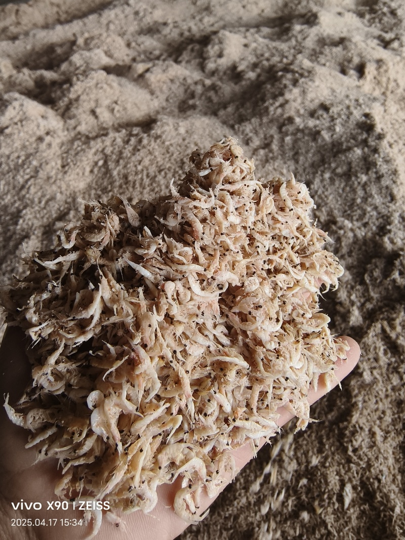 味道鲜美的引子虾皮，可以做汤，可以做调料，也可以做鱼饵