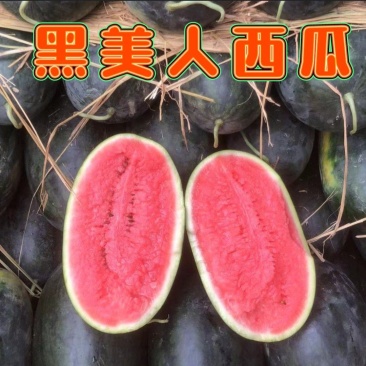 【推荐】广西黑美人西瓜大量接单供应电商市场团购欢迎来电