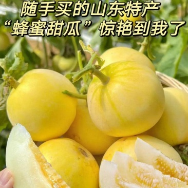 星甜甜瓜！对接电商、多多买菜、市场、商超、一件代发