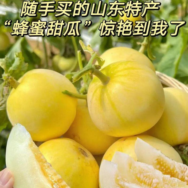 星甜甜瓜！对接电商、多多买菜、市场、商超、一件代发