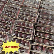 红玫瑰，卡罗拉，产地直发，质量保证，量大优惠来电合作。