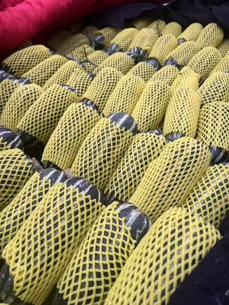 精品砀山博洋9甜瓜大量供应，全国代发，货源充足！
