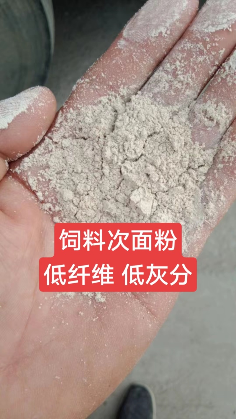 次粉饲料次面粉山东厂家直供质量保证规格齐全全国发货