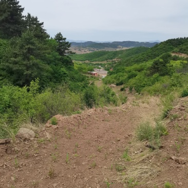 山地出租，养殖种植和工厂都行，价格详谈