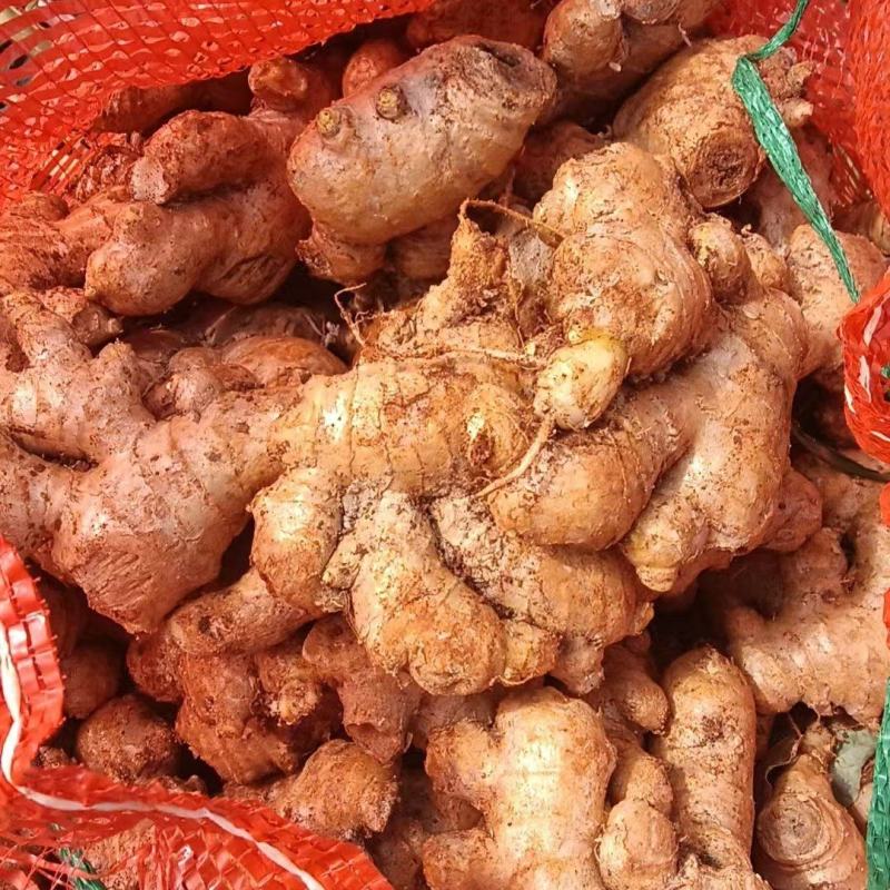 市场电商**超市中黄姜