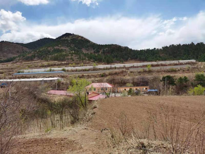 山地出租，养殖种植和工厂都行，价格详谈