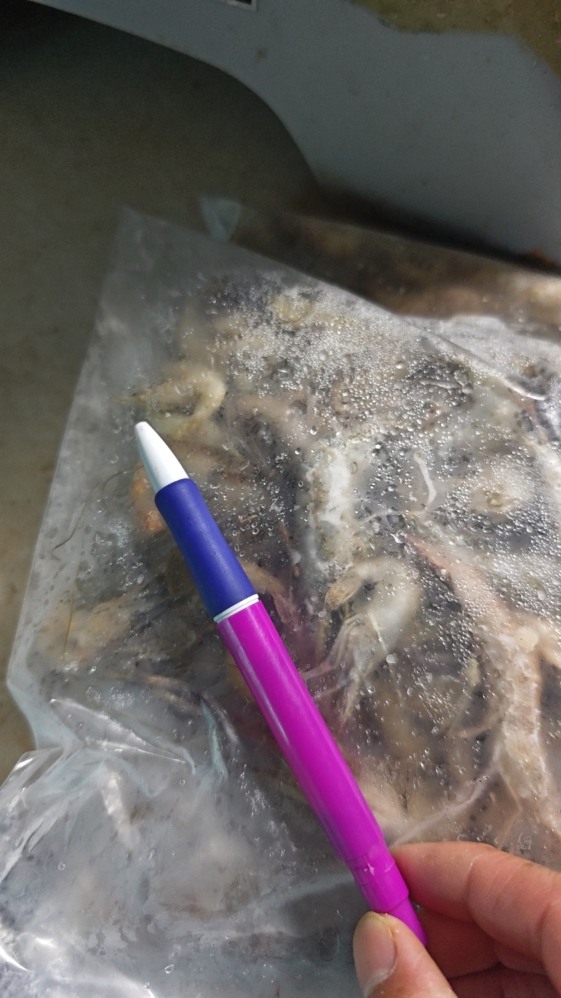 大只河虾口感鲜甜肉质肥美看上预定