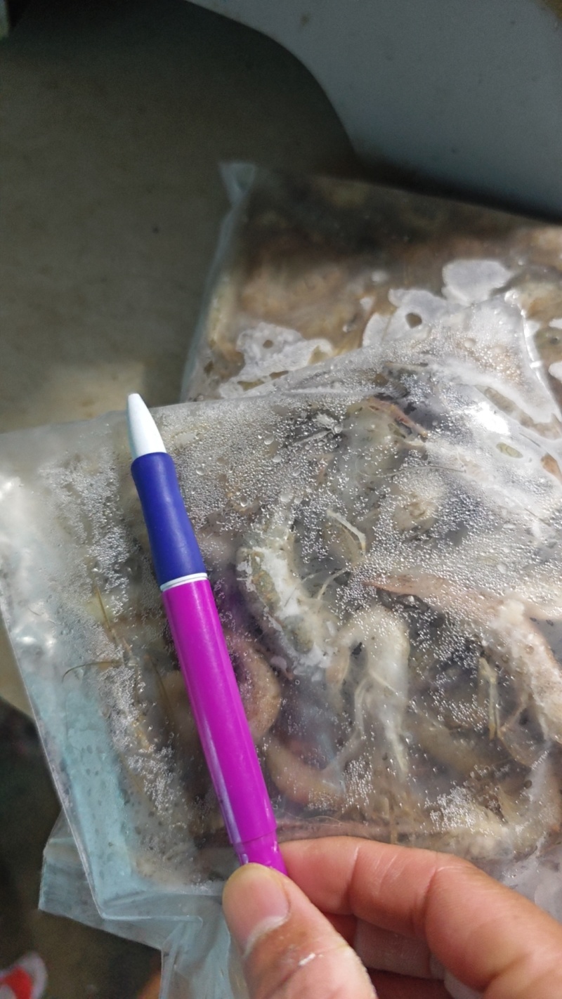 大只河虾口感鲜甜肉质肥美看上预定