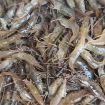 大河虾油炸水煮清蒸椒盐油焖煮粥韭炒均可