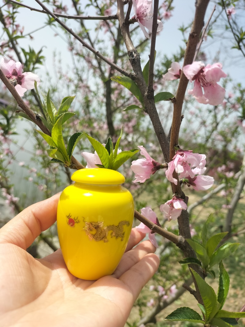 紫阳富硒茶叶徐小凤的茶园干净幸福生活品硒茶温暖人间美一天