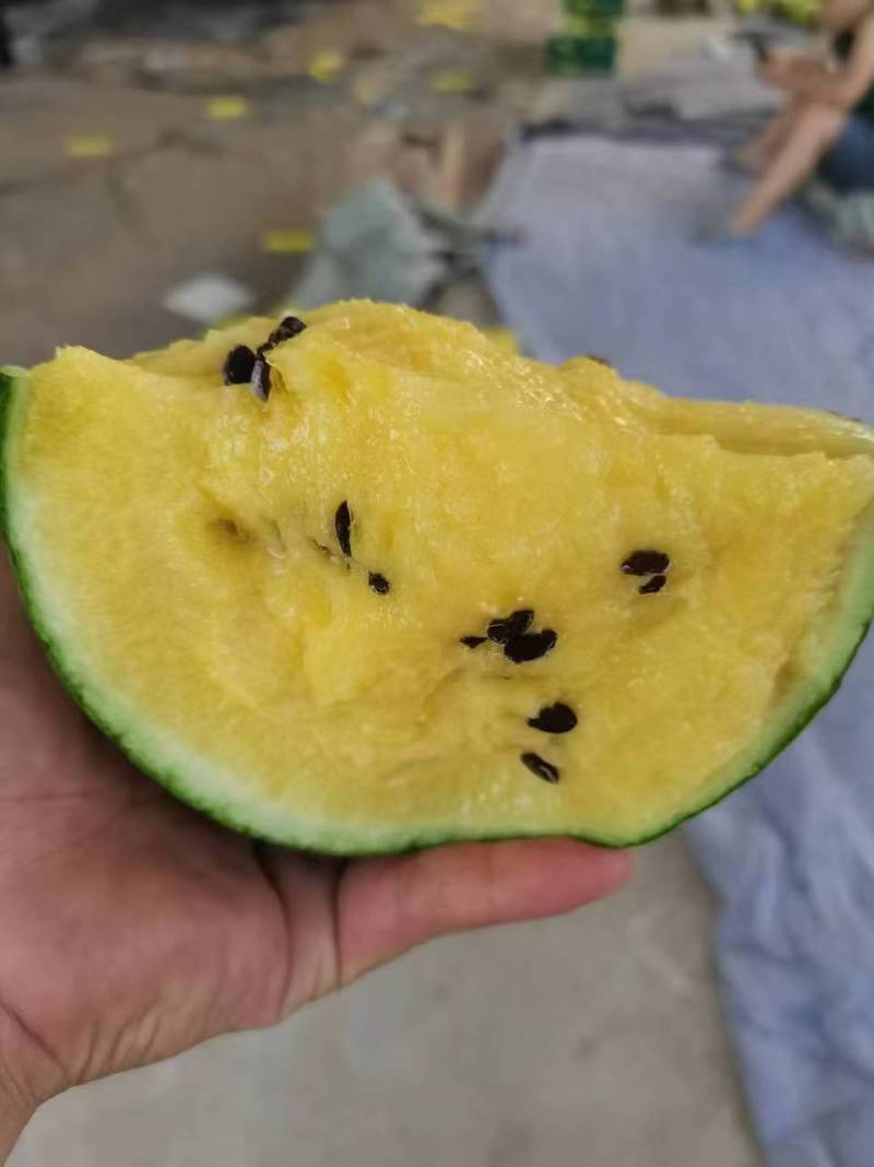 精品特小凤西瓜大量上市保熟保甜，找车发货装车一条龙服务