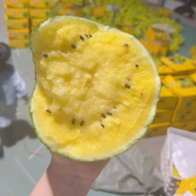精品特小凤西瓜大量上市保熟保甜，找车发货装车一条龙服务