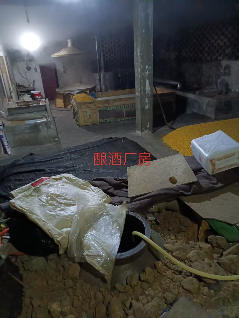 龙山泉地窖玉米酒，自己酿造品质有保障，对接全国