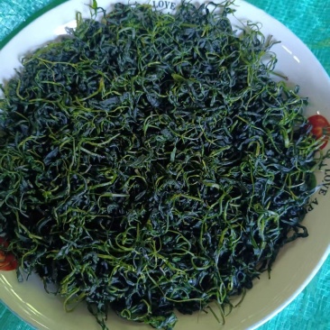 四川宜宾苦丁茶一手货源，货量充足质量保证，对接全国