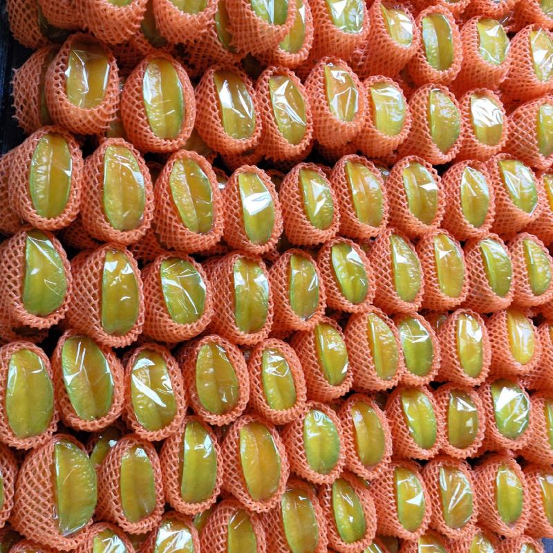 福建漳州云霄县下河杨桃红龙杨桃黄金桃都有货