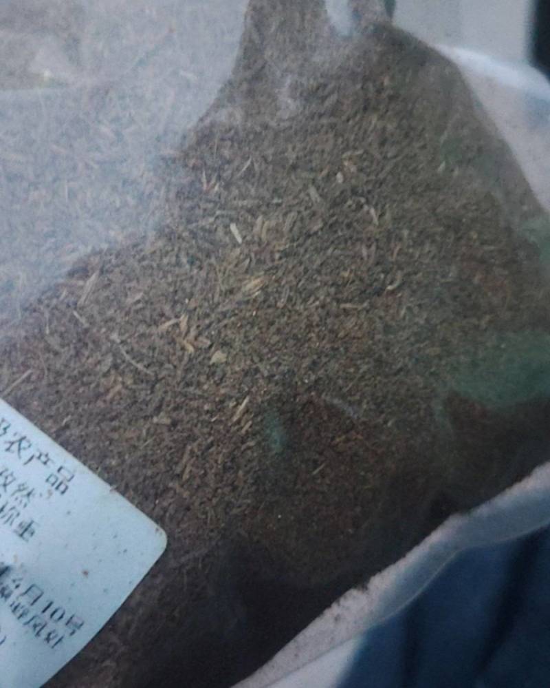 孜然颗粒，孜然碎