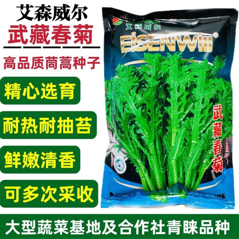 武藏春菊茼蒿菜种子清香脆嫩中叶茼蒿种籽皇帝菜种子耐热基地