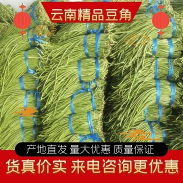 云南精品长豆角，一手货源价格美丽，支持视频看货
