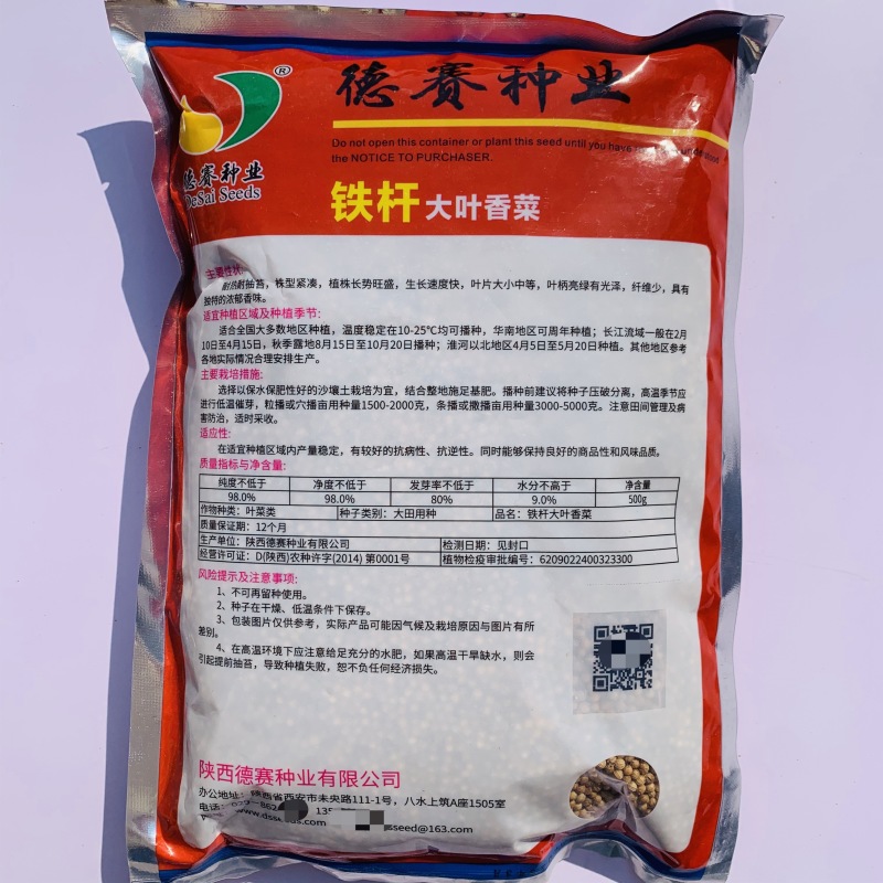 罗马铁杆大叶香菜种子意大利优质香菜耐热耐寒四季香菜种子