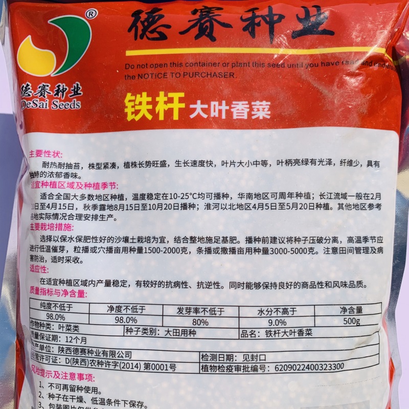 罗马铁杆大叶香菜种子意大利优质香菜耐热耐寒四季香菜种子