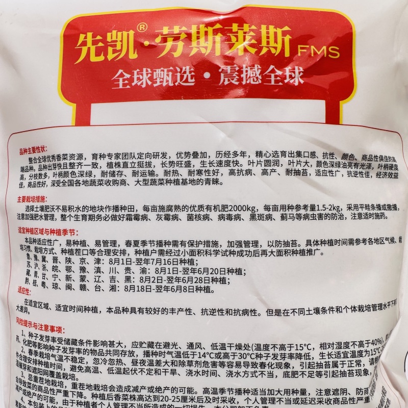 进口大叶香菜种子先凯劳斯莱斯香菜种籽油亮光泽耐热耐寒四季