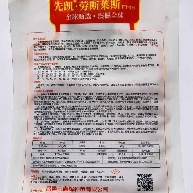 进口大叶香菜种子先凯劳斯莱斯香菜种籽油亮光泽耐热耐寒四季