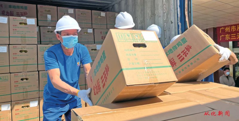 广东河源龙川县鸡蛋产地直发货量充足欢迎采购