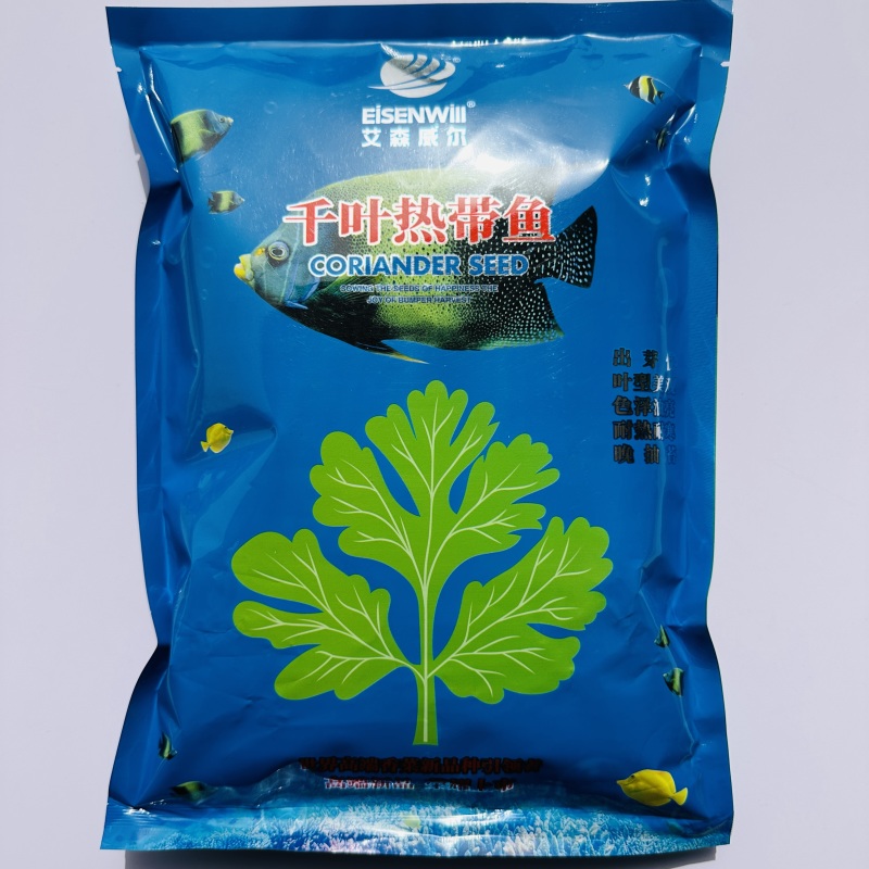 千叶热带鱼香菜种子出芽快芫荽种籽耐热耐寒四季大叶香菜种籽