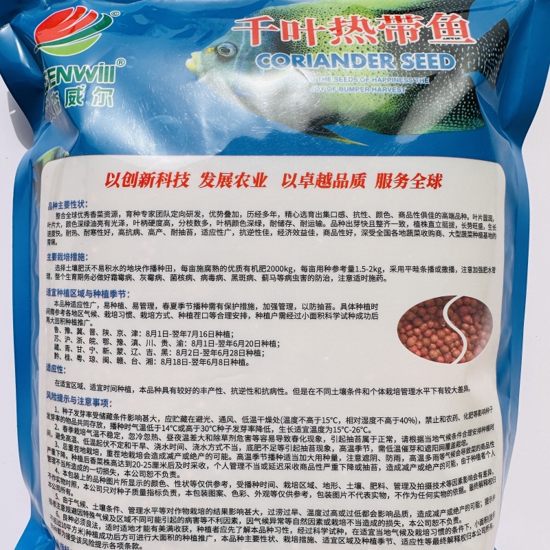 千叶热带鱼香菜种子出芽快芫荽种籽耐热耐寒四季大叶香菜种籽